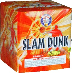 Slam Dunk Brothers