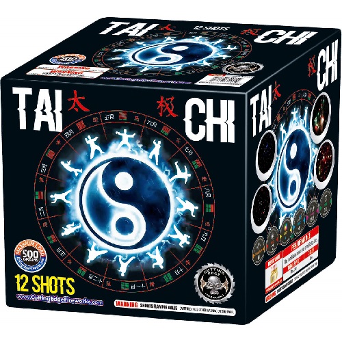 TAI CHI 12 SHOT
