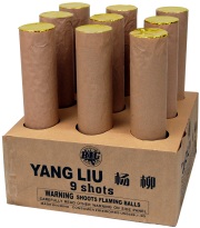 Yang Liu