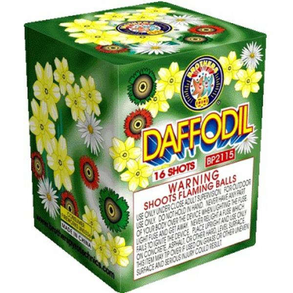 DAFFODIL FIREWORK